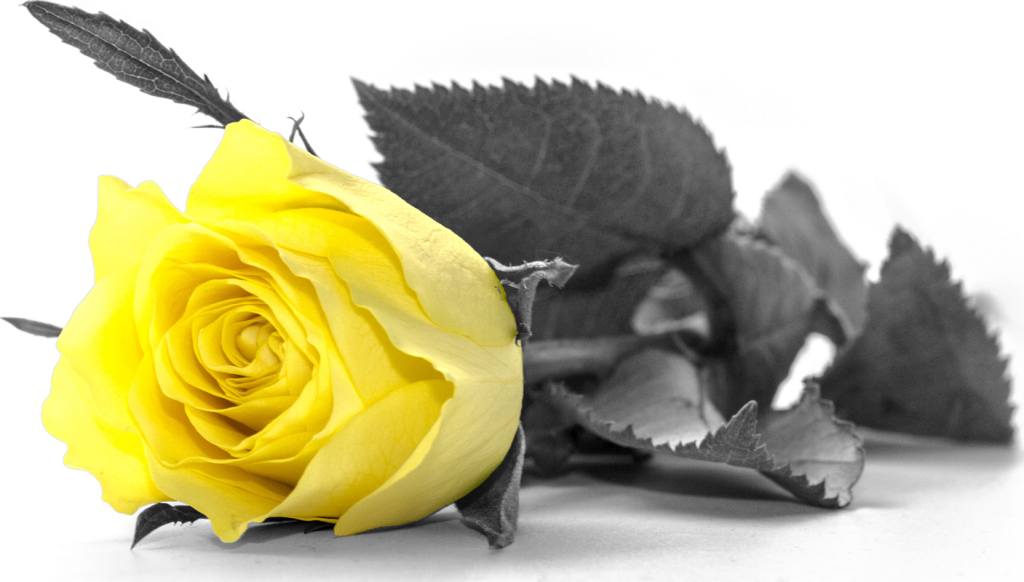 Funeral Arrangements